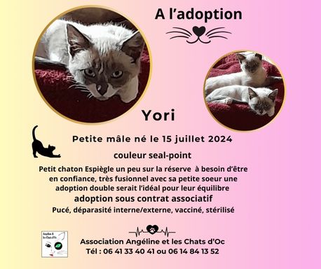 stérilisé et vacciné